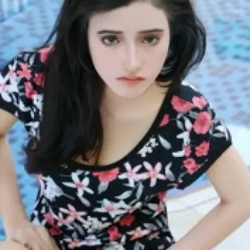 Zirakpur Call Girls